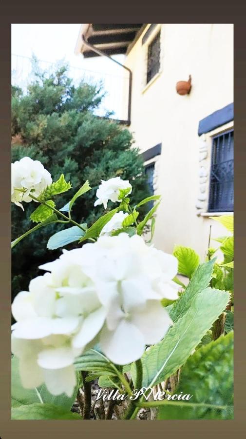 Villa Polercia Cupello Экстерьер фото